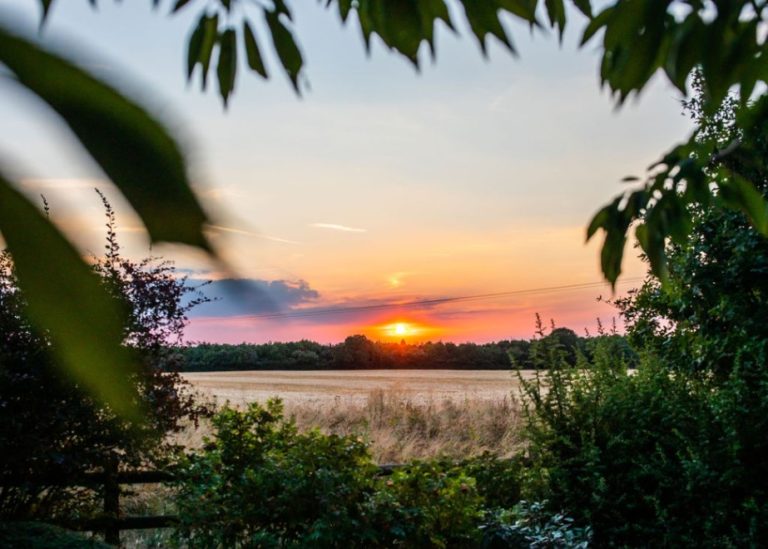 7bb5672d e6b6 4d49 909c 1ca30dbd718b 768x549