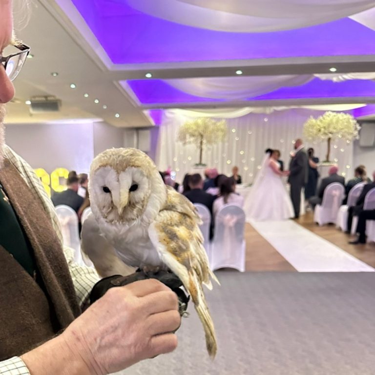 7d08ceb4 4e70 4dff 9312 05bb962f0674 768x768