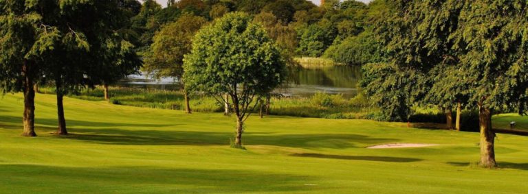 7d21d010 2e19 4a19 a4c4 6b9300b1a2b2 768x283