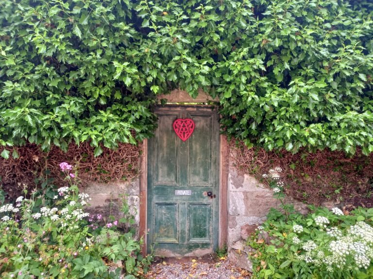 7d9a60f4 44c8 4a35 a287 8c0854dab67c 768x576