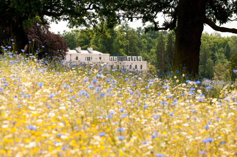 7e3ff69c ac85 4f36 b963 532c2925279e 768x510