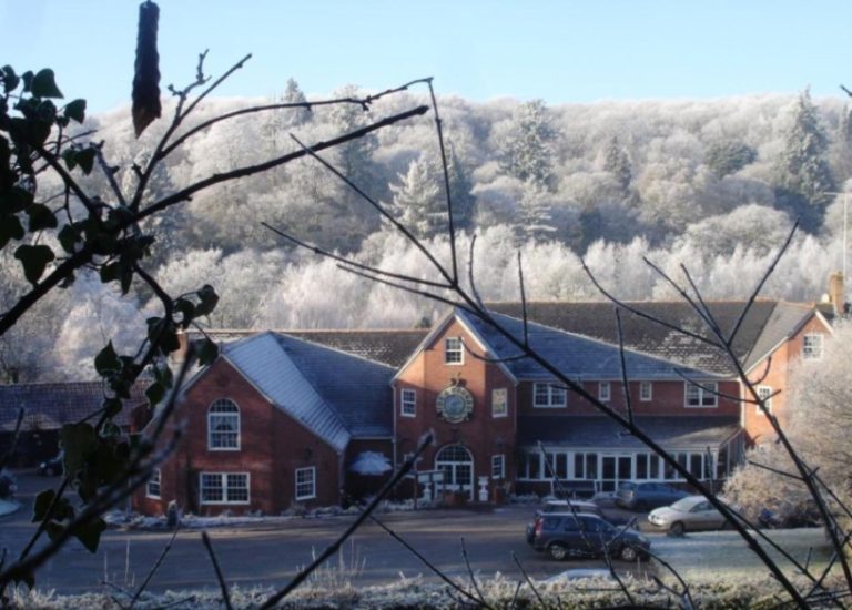 7e525206 0965 423d b632 e9f58dd88fb7 768x550