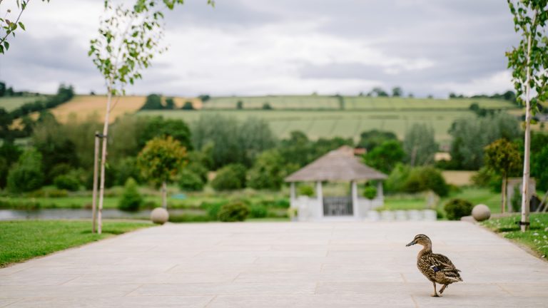 7f018ede 184a 48c0 b2c7 c90c440d9664 768x432