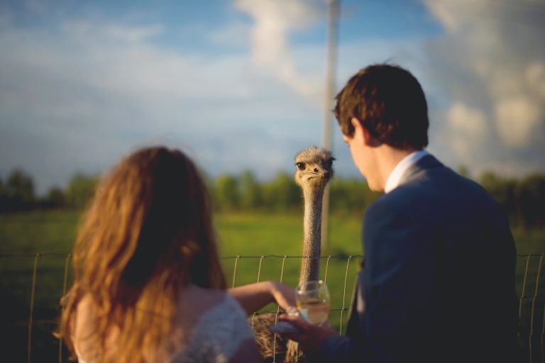 8105f912 1a29 40f5 bb7a 37c755c9601d 768x512