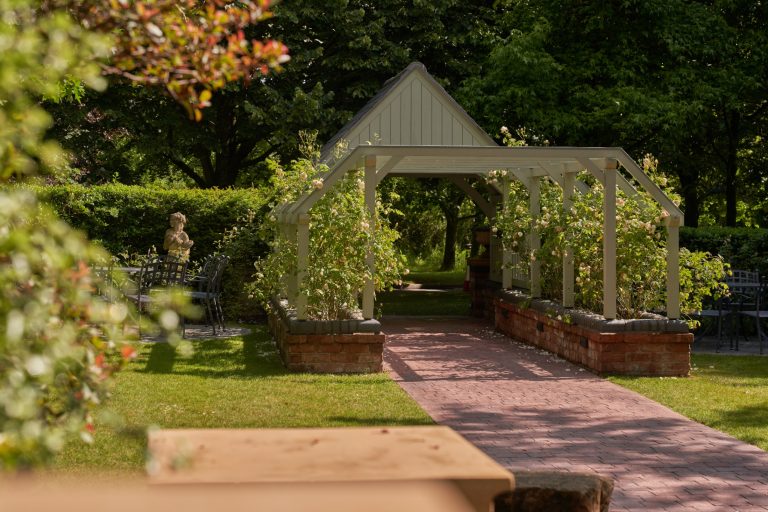 810ff8b0 a619 4a23 becc 3bf9e7f84765 768x512