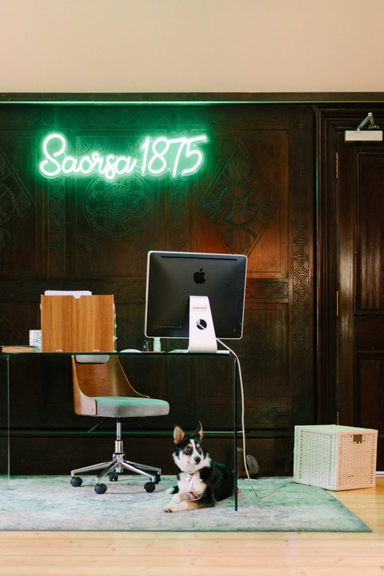 811dc185 1a31 44c3 9c03 e085aa024fab 768x1152