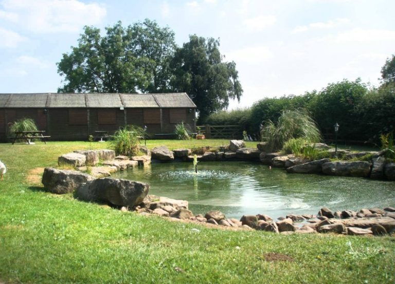 812a0e0f da96 4cda 8b0c a77d46aca6ad phoca thumb l Pond with Koi 1  768x553