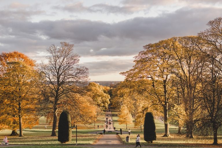 815d2b5e 4350 41f6 9b30 e302ccc53569 768x512