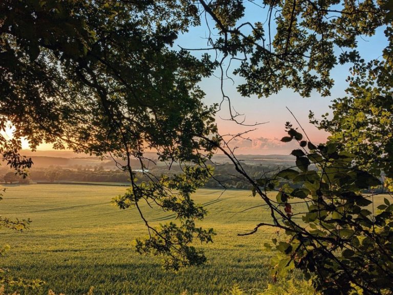 820f4b9f 8c8c 411b 97b9 3def0f46e3a0 768x576