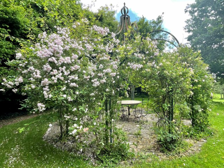 828fa95b d273 4181 9bd1 81d8254def24 768x576