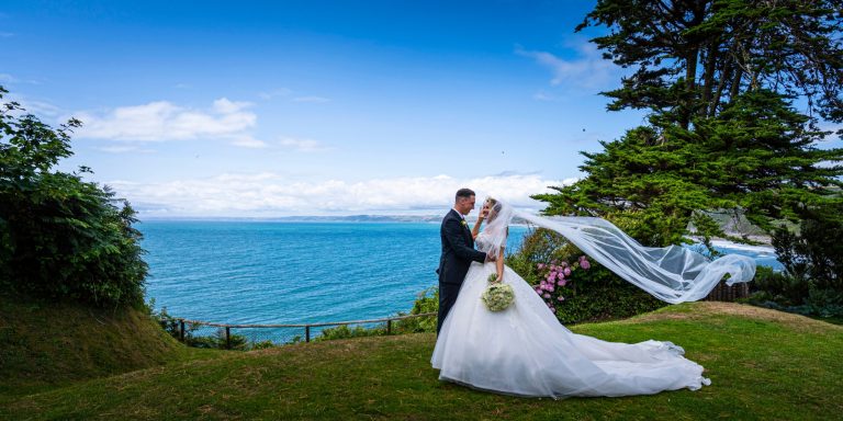 83019d0c b16b 401e 99e2 f9d0b02a1fea 768x384