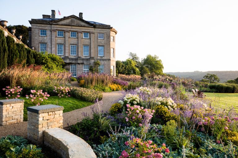 8445673b 0023 48da b539 9c219d4cfa35 1 768x512