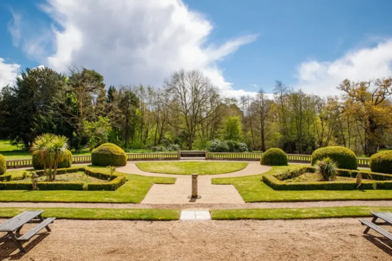 85c4cc30 a5cc 4665 8c62 5c94ba9e21c8 768x512