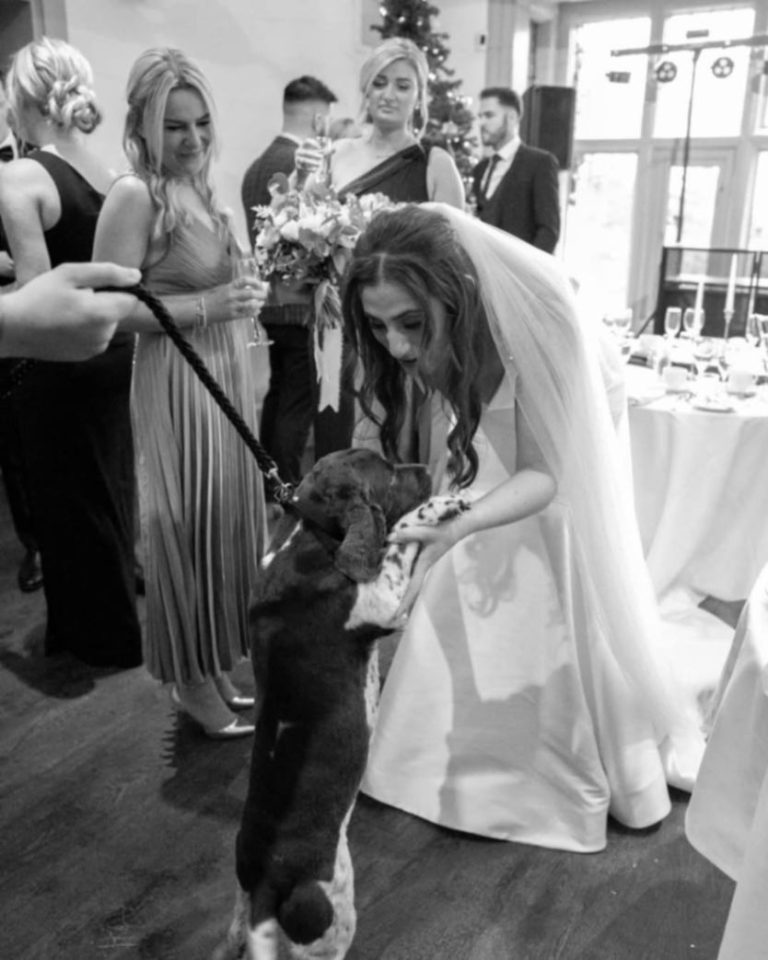 863273ea 1814 4b34 ba9f 3017976ba27e 768x960