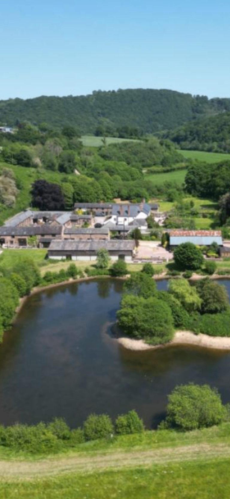 8649ca34 881f 4551 b18f da9bfab30b99 768x1666