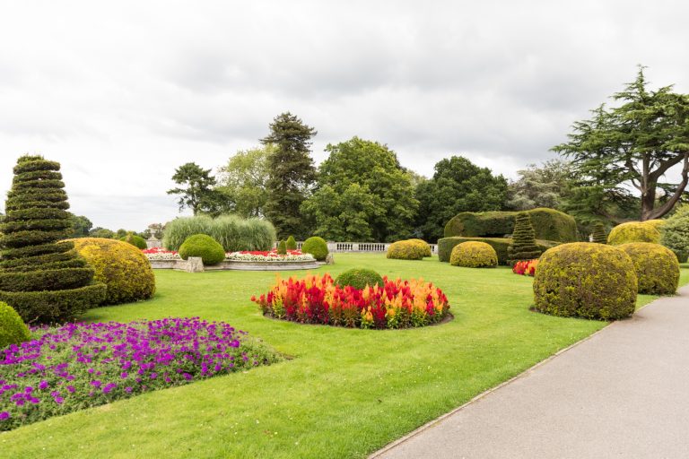 8732e655 9786 405e 8f5e f44408efd006 768x512