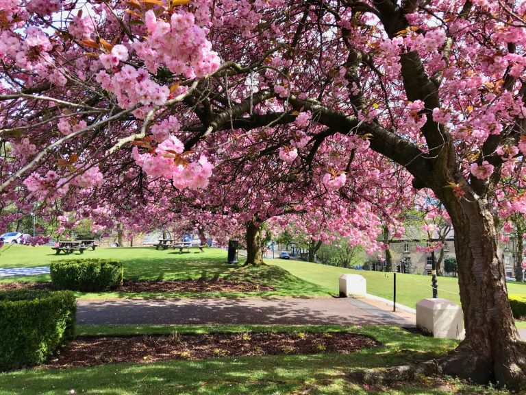 87404ac6 1761 473b b742 96ebe97c859a 768x576