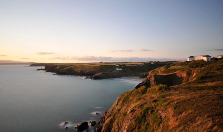 88afe2f6 3eb6 419c 8438 f0dd4f6b90a8 768x453