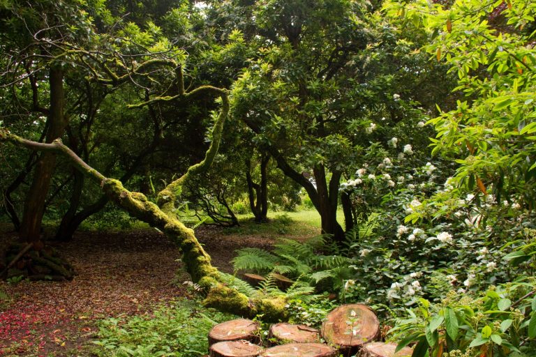 88ba7068 795c 4d0f ae02 52eabce79afa 768x512