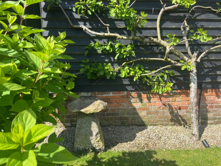 89e0280f a24b 42e8 ae76 816423c63c8e 768x576