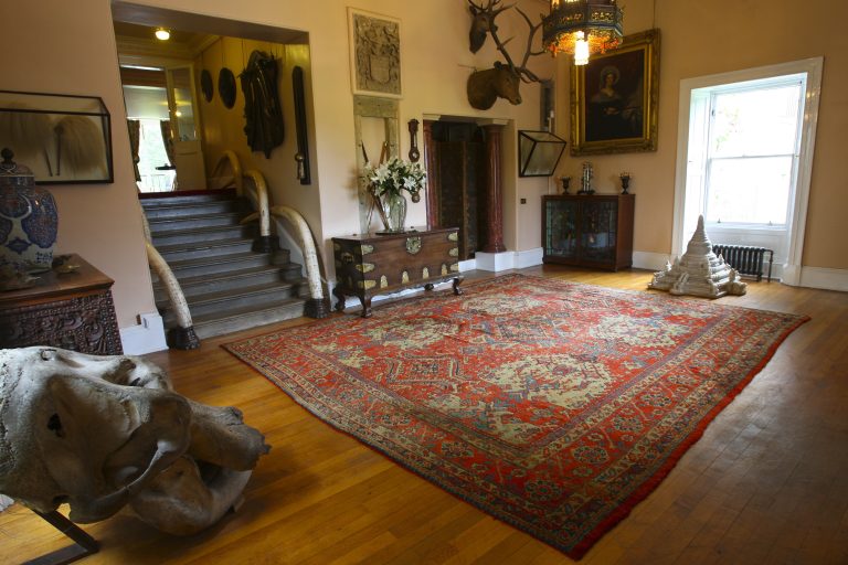 8B3V1078 gs3k88 768x512