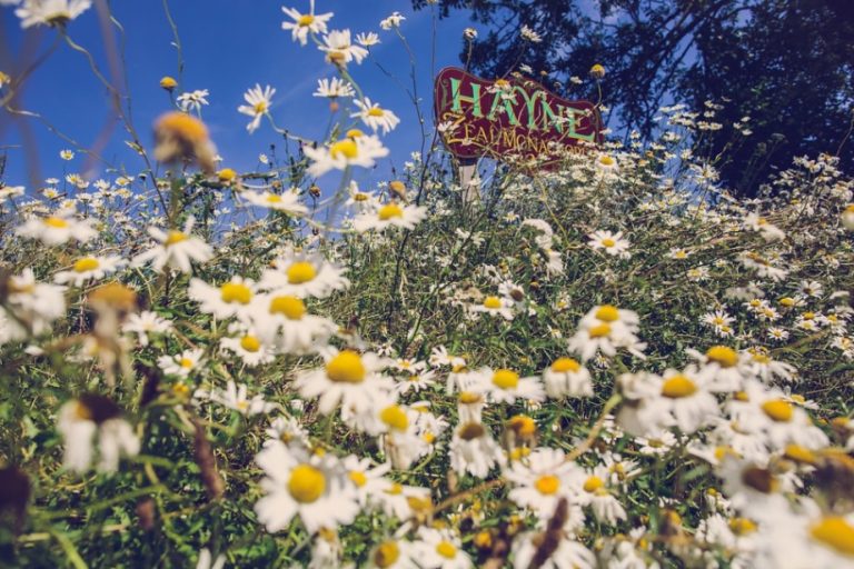 8a92f7f0 3df9 494a a94a c9c70b23d37a 768x512