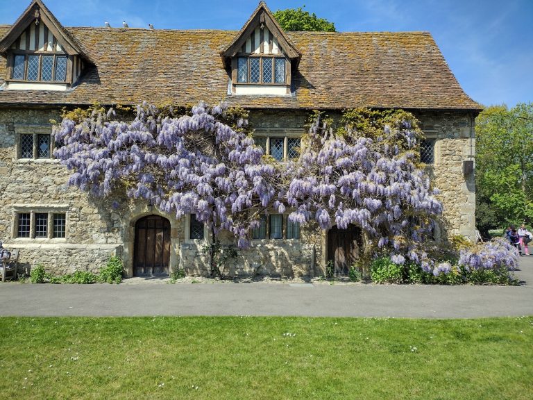 8ba39546 e4a7 48d8 8cea 16c702e9c112 768x576