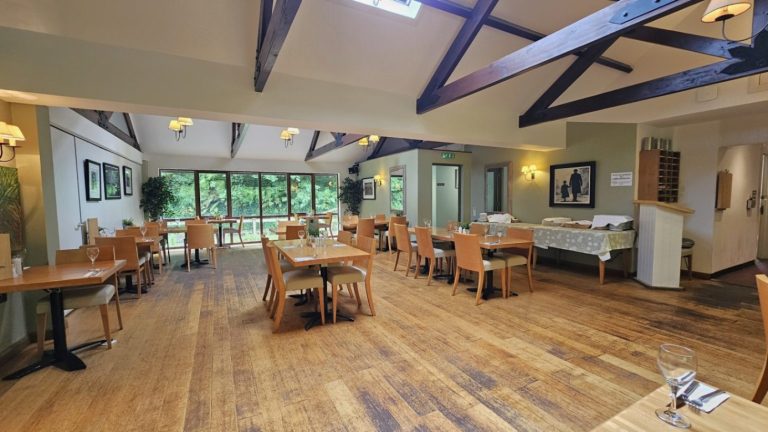 8c3a8b67 b09d 40fc a3b5 63993a5016f0 768x432