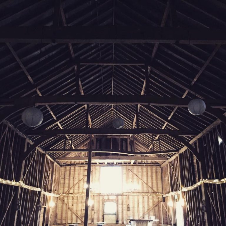 8cd253db 0f73 40e5 bacb 7e61a211a19d 1 768x768