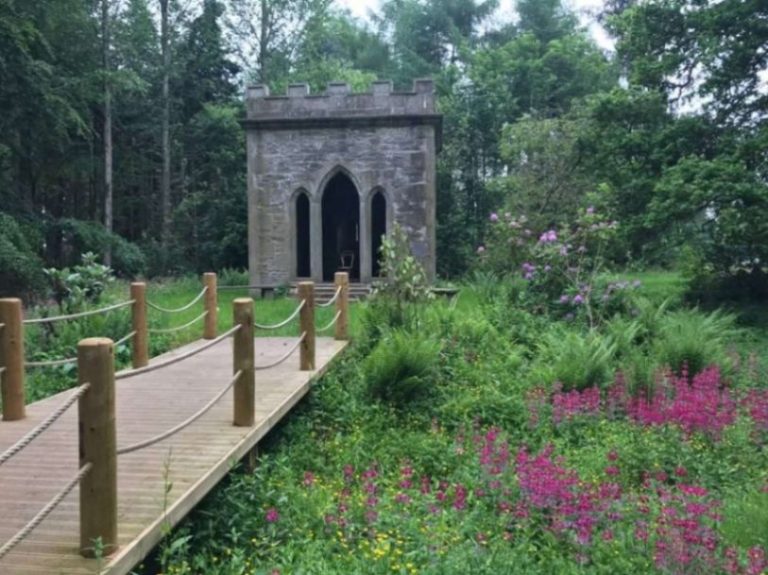 8da02bfb 0d96 4398 8a4b 598906a5160a 768x575