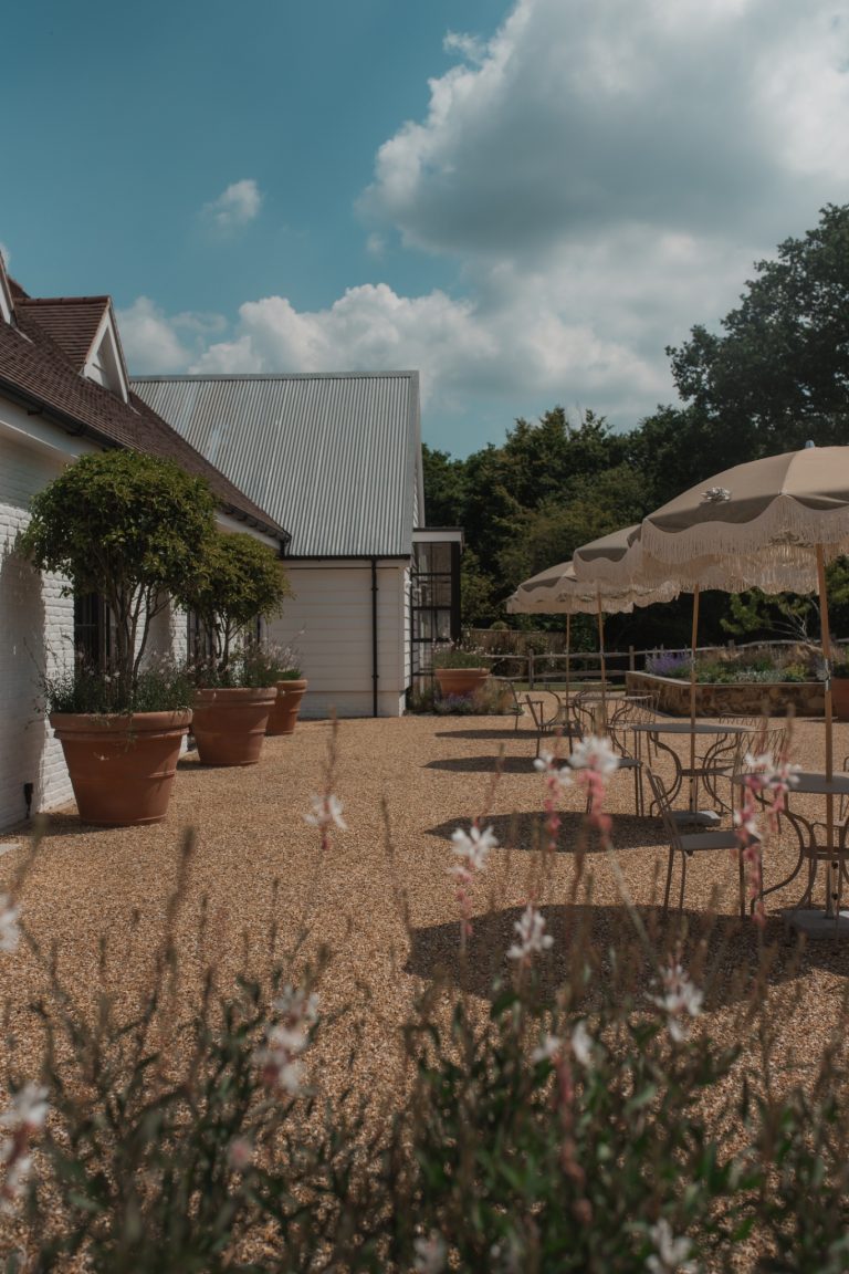 901d5396 b018 4b4c 9b3a 2b8608bee7ba 768x1152