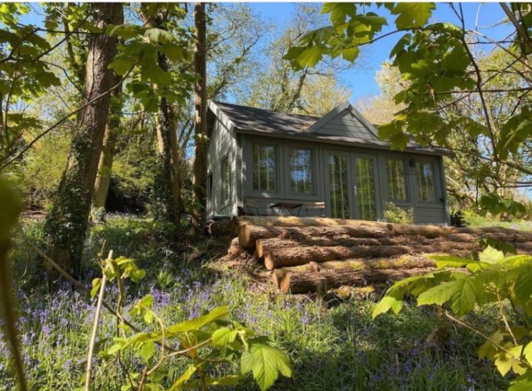 90ba4f55 e71b 42d6 a5b9 dfa495b4358a 768x565