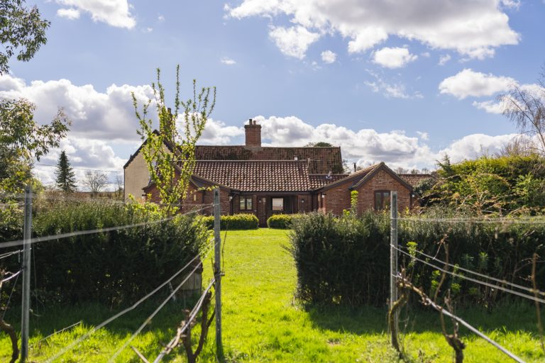 91bfe704 b41e 4969 b0df d7938a6519af 768x512