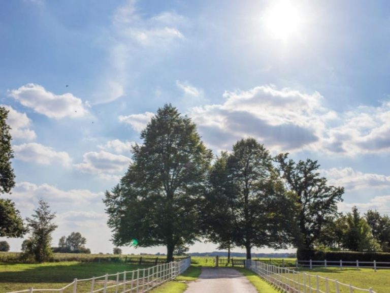 93066797 6b43 4880 8789 35b5c374df7e 768x577