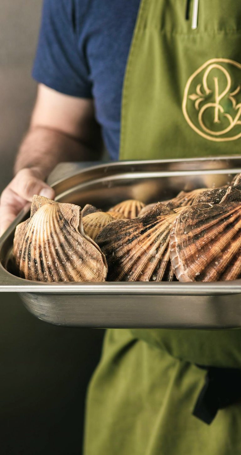 94bad4 619a4813b2f1465ba6c4a32ddc12e33d mv2 05042024115342 768x1449