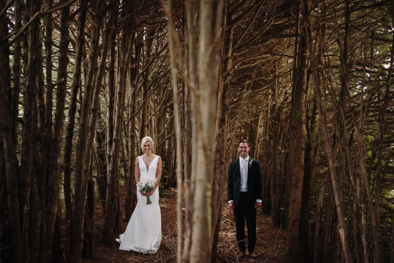 94e12f23 866a 4143 a49f a34477be8df6 768x512