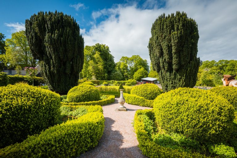 96933c7f 2558 412f 8a6f 59c8ee884854 768x512