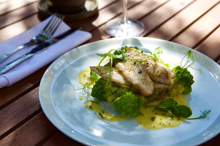 96c6ea50 c77b 4cd8 ad8b c23769faed03 768x512