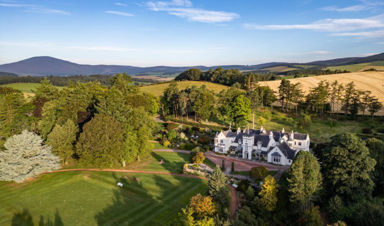 979f8903 c587 420b 802b b8a63bdbd4cb 768x452