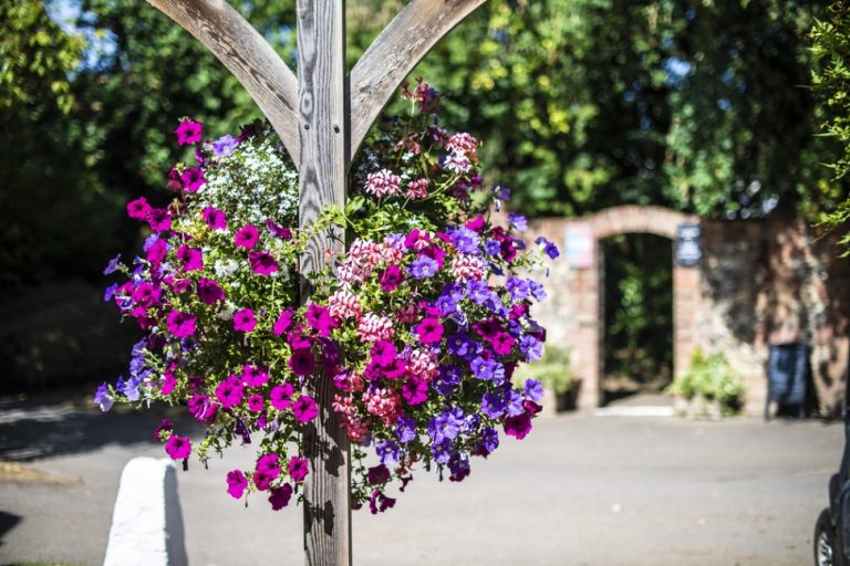 985fae4f 18a5 4203 aa2d 279083904865 768x512