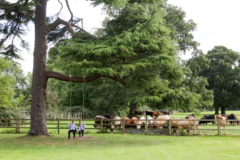 98c6fe40 4c44 4219 b47a 6c4704b6f0ae 768x512