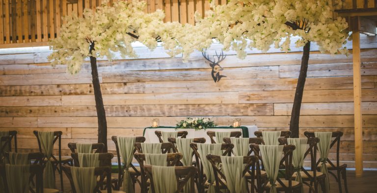 99395c77 7563 496d aa57 1046002b5f3c 768x395