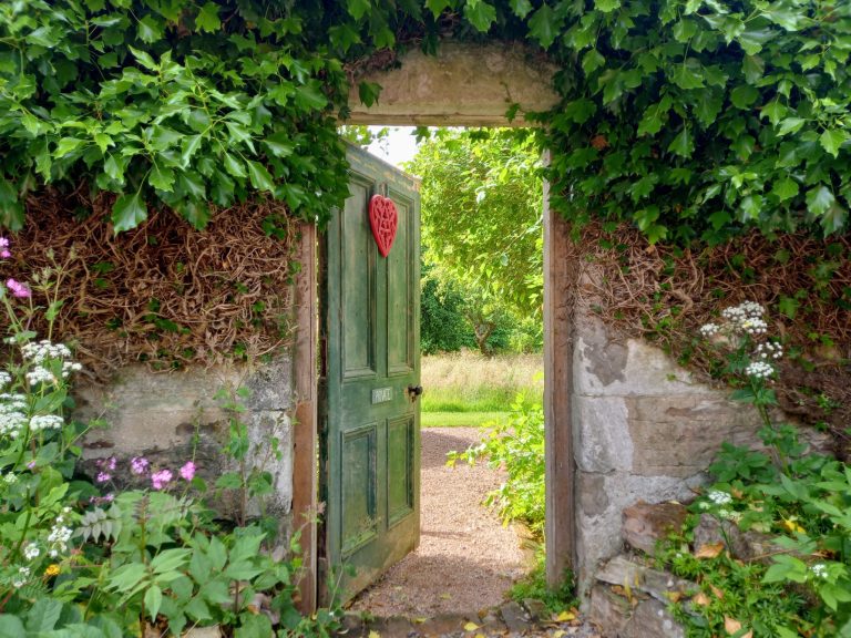 997bfc7e aea9 4d7d b07a 0d19f04d5ea2 768x576