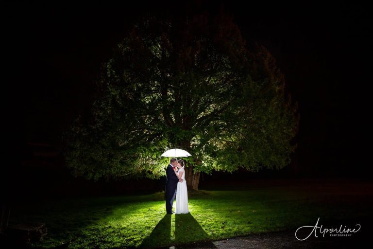 9A3719A3 583D 4F58 AD7D 2ED63995F7F4 768x512