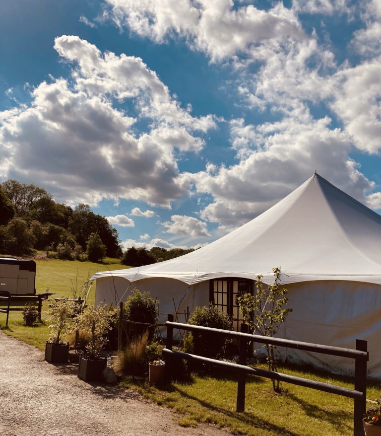 9F3D0319 FD2A 43DB B0BB F8BDE6AE510A 768x878