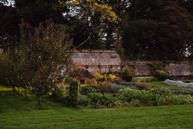 9a4531b9 caa9 415c b057 fd525e4422f3 768x512