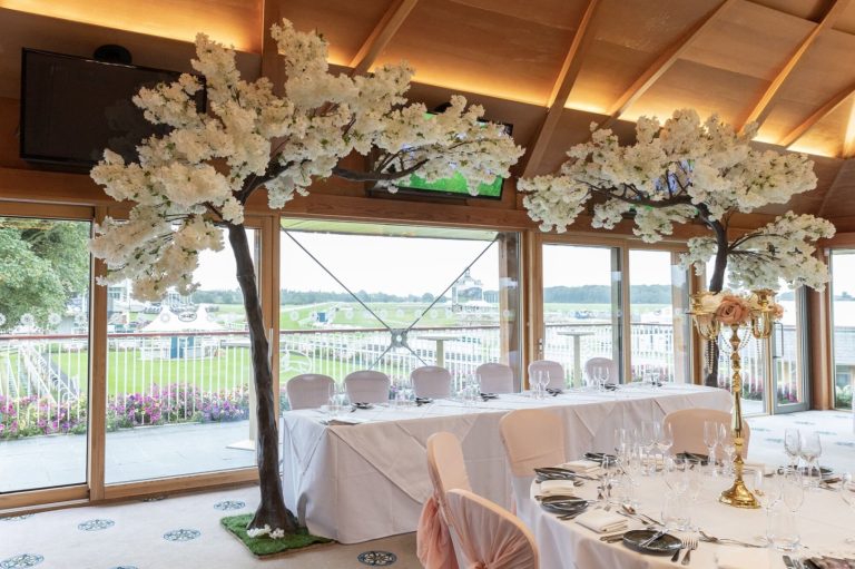 9ccfa442 f4e0 4b01 93d8 08f5bff2c69d 768x511