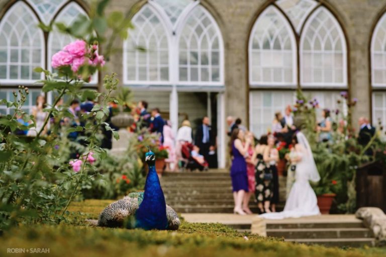 9e62b6d2 5aef 410f a39a 7412c834fc3b 768x511