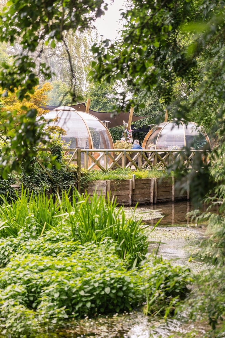 9ebd2088 3d57 445f 8b43 018fea467854 768x1152