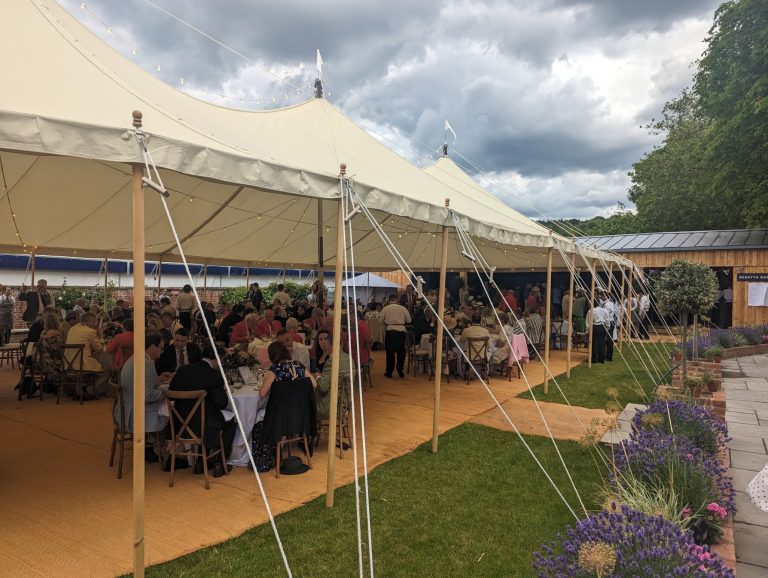 9f509d7f c7c3 4f9c a7f6 507e2706f829 768x578